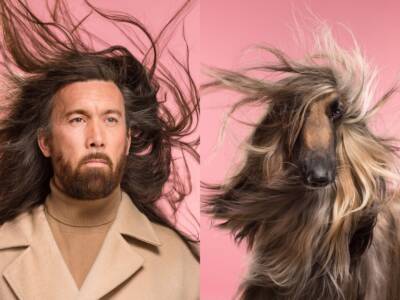 Фотопроект британца о внешней схожести собак и их хозяев. Афиша Днепра