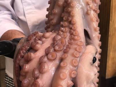 44683131_1183178671831521_8110512359392411648_n