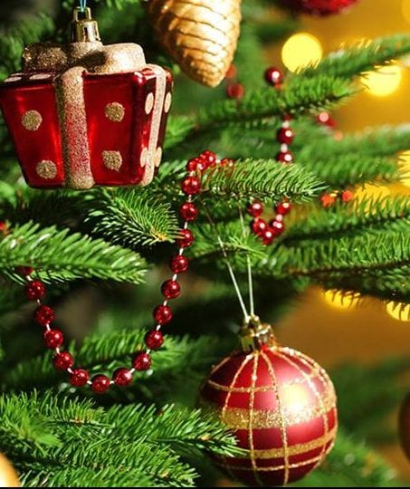 Выходные с музеем. Новогодняя экскурсия цены, фото, расписание, отзывы