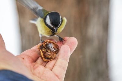 Зимний Днепр: как выглядит город в начале декабря (ФОТО). Афиша Днепра