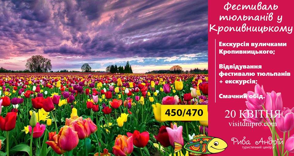 Фестиваль тюльпанов в Кропивницком 20.04.2019, цены, фото, расписание, отзывы