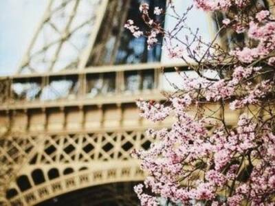 В Днепре пройдет традиционный фестиваль "Французская весна". Афиша Днепра