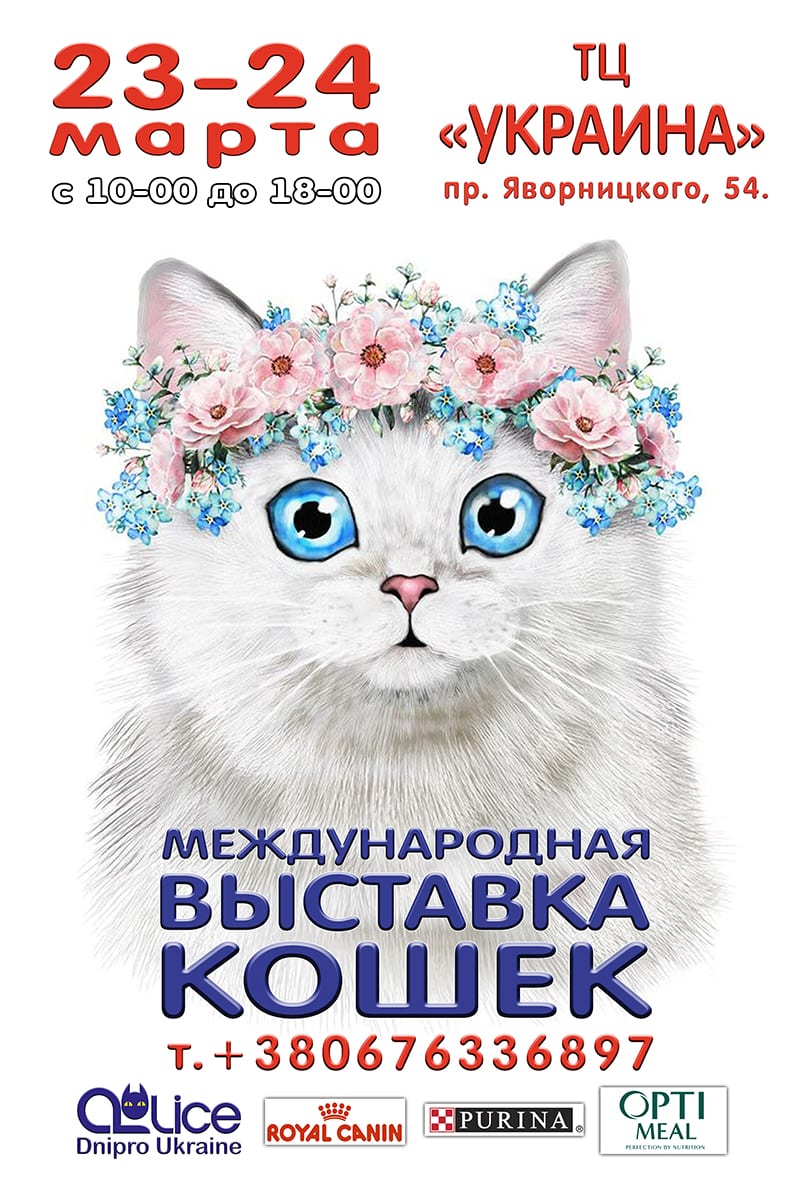 Международная выставка кошек Днепр, 23.03 и 24.03.2019, цена, даты, расписание. Афиша Днепра
