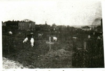 Появились старые фото Севастопольского кладбища. Афиша Днепра