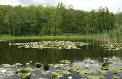 Природные парки Украина, Ичнянский парк