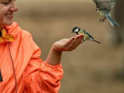 В Днепре есть место, где можно покормить птиц с рук. Афиша Днепра.