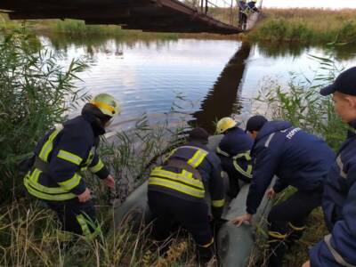 Ради селфи: под Днепром утонула 9-летняя девочка. Афиша Днепра