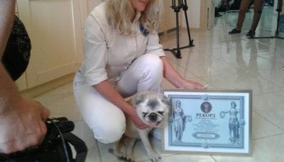 Самый старый пес в Украине умер. Афиша Днепра