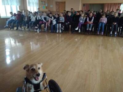 В Днепре собака с инвалидностью провела Открытый урок в школе. Афиша Днепра