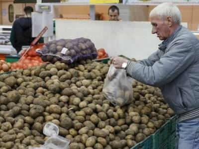 В Днепре появилась картошка из Франции