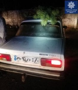 В Днепре пьяные мужчины на авто похитили елки (фото). Афиша Днепра