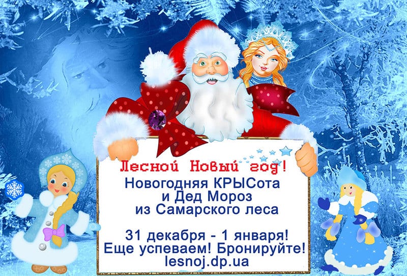 Лесной Новый год Днепр, 31.12.2019, цена, даты, купить билеты. Афиша Днепра