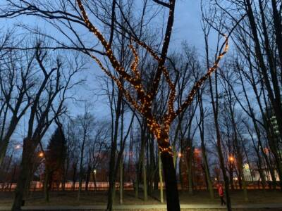 В Днепре в парке появилось дерево желаний (Фото). Афиша Днепра
