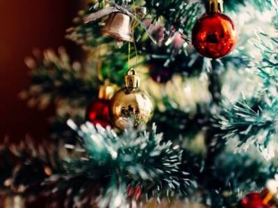 Как выбрать новогоднюю елку без вреда. Афиша Днепра