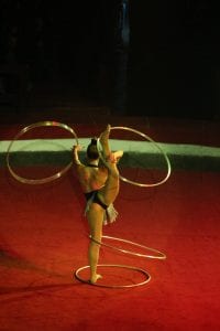 Ежегодное ночное шоу в Днепровском цирке (Фото). Афиша Днепра