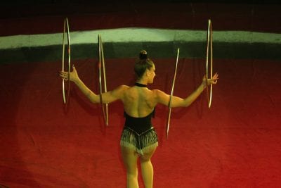 Ежегодное ночное шоу в Днепровском цирке (Фото). Афиша Днепра