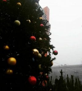 Днепр в преддверии Нового года: лучшие фото из Instagram. Афиша Днепра