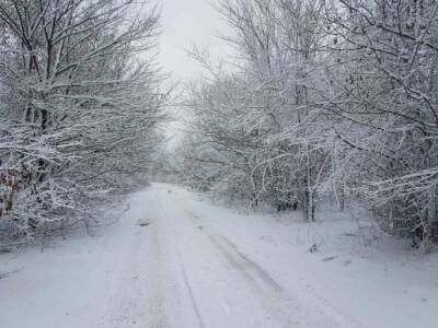 Доставай санки: Днепр завалило первым снегом. Афиша Днепра