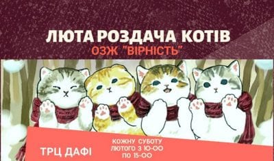 Раздача котов Днепр, 29.02.2020, цена, даты, купить билеты. Афиша Днепра