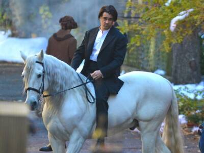 Принц на белом коне: курьеры Glovo доставляют еду на лошадях (ФОТО). Афиша Днепра