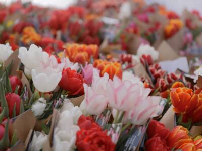 На 8 марта на улицах Днепра женщинам дарили цветы. Афиша Днепра