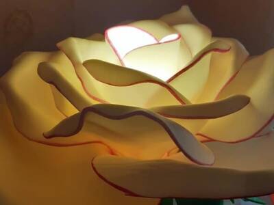 Гигантские цветы с подсветкой: днепрянка создает необычные светильники
