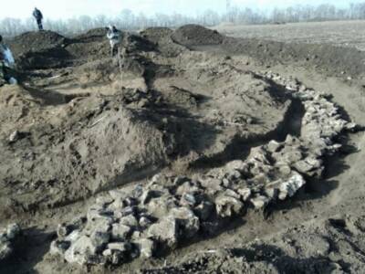 В курганах Днепропетровщины археологи нашли захоронения времен древнейших цивилизаций. Афиша Днепра