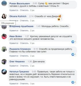 В Днепре появилась крутая площадка для собак (ФОТО). Афиша Днепра