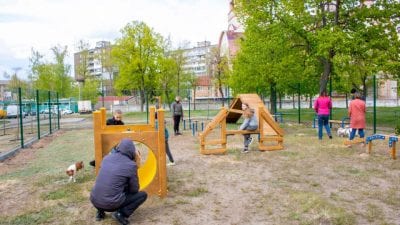 В Днепре появилась крутая площадка для собак (ФОТО). Афиша Днепра