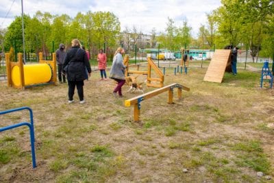 В Днепре появилась крутая площадка для собак (ФОТО). Афиша Днепра