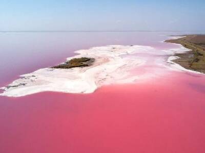 Чудеса в Украине: пять розовых озер, которые поражают красотой. Афиша Днепра