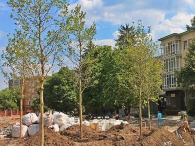 Велодорожки и молодые деревья: как продвигается реконструкция площади Шевченко. Афиша Днепра