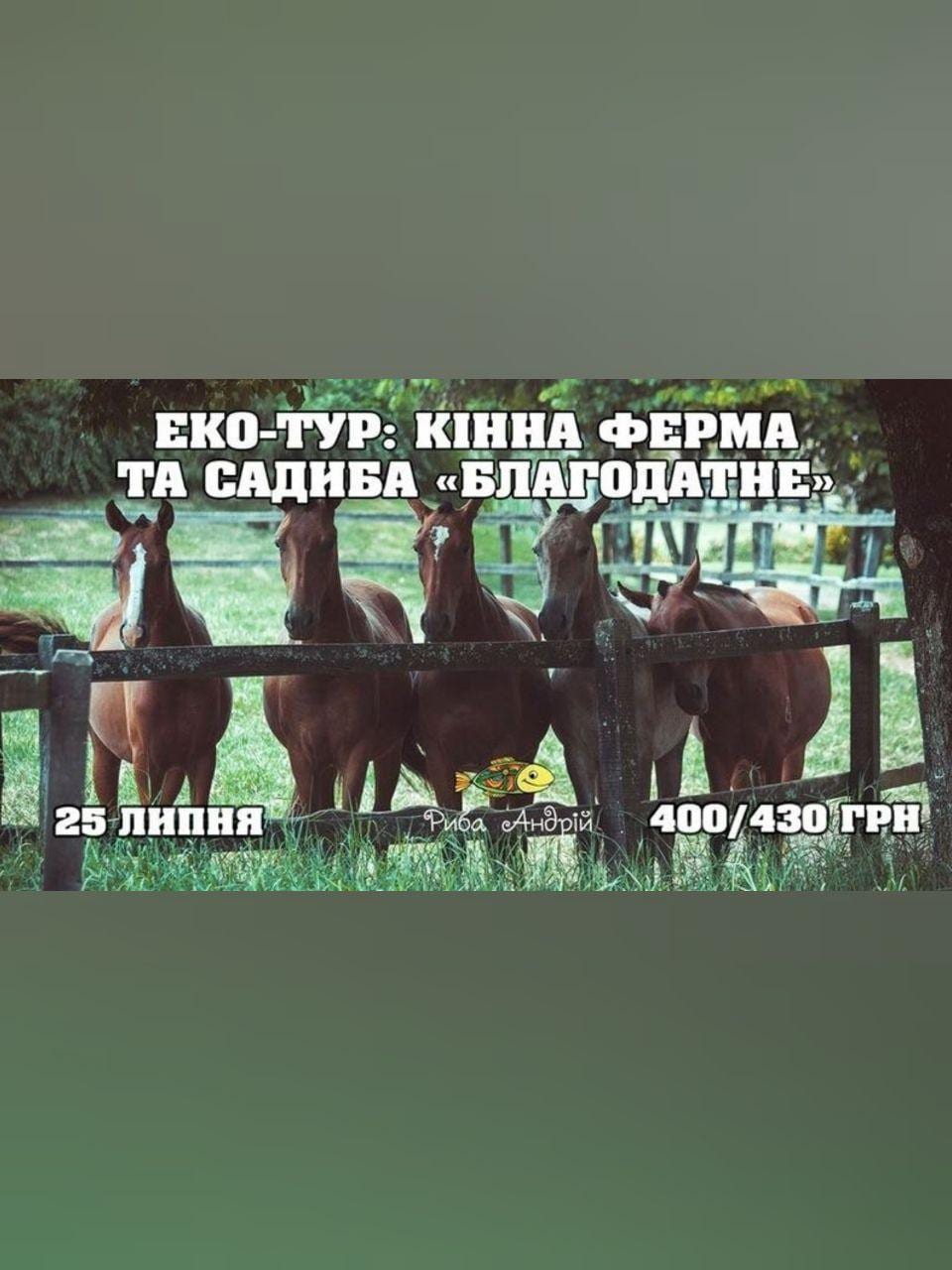 Эко-тур: лошадиная ферма Днепр, 25.07.2020, цена, даты. Афиша Днепра