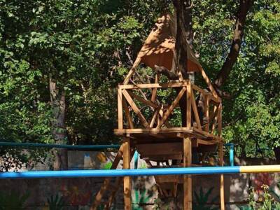 Мечта из детства: в Днепре соорудили домик на дереве (Фото)