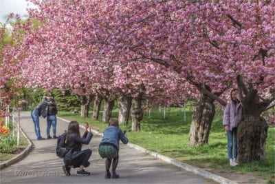 Всемирный день фотографии: топ-5 фотографов Днепра. Афиша Днепра