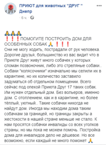 Нужна помощь: в Днепре строят приют для собак, пострадавших от рук человека