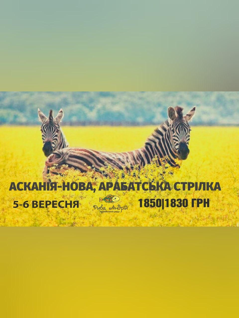 Аскания-Нова, Арабатская стрелка Днепр, 04.09.2020, цена, фото, расписание, даты, купить билеты. Афиша Днепра