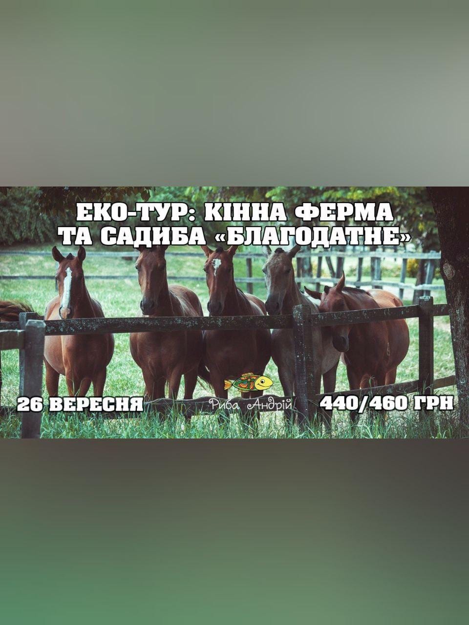 Эко-тур: конная ферма, усадьба Благодатное Днепр, 26.09.2020. Афиша Днепра
