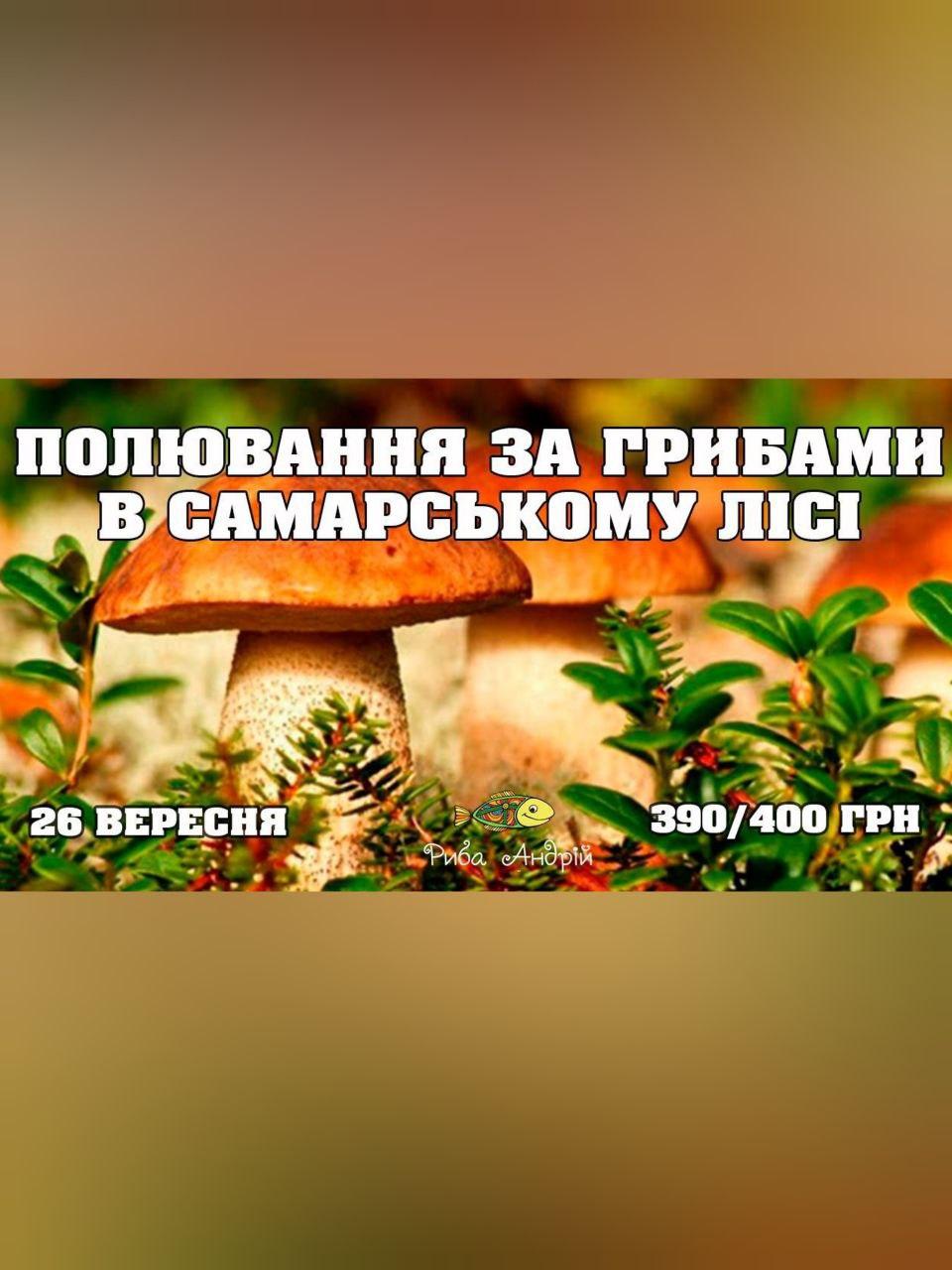 Охота за грибами в Самарском лесу Днепр, 26.09.2020, цена, фото. Афиша Днепра
