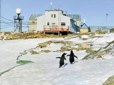 Стань полярником: в Украине открылся набор желающих для экспедиции в Антарктиду. Афиша Днепра