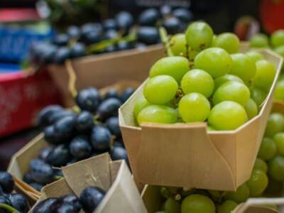 Большие ягоды – не значит сладкие: что важно знать про свойства винограда. Афиша Днепра