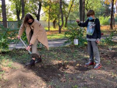 Вже 260 дерев висадили в місті на території підпорядкованих закладів департаменту соціальної політики в рамках декадника # Дніпро_квітучий. Афиша Днепра