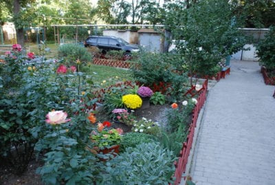 Дніпро-квітучий: містяни готуються до участі в комплексній програмі озеленення. Афиша Днепра