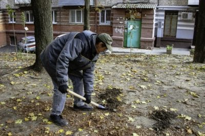Дніпро-квітучий: понад 5000 молодих дерев висадять на прибудинкових територіях житлових будинків. Афиша Днепра