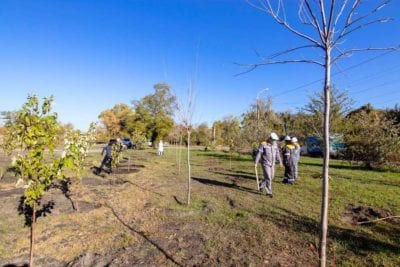Озеленення 2020: промислові гіганти висаджують дерева в місті. Афиша Днепра