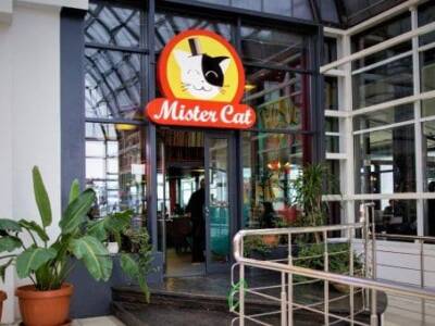 "Жри не подавись": ресторан Mister Cat отправил своим клиентам похабные сообщения.. Афиша Днепра