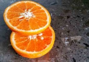 Новогодние Апельсины И Мандарины Новогодние Апельсины И Мандарины