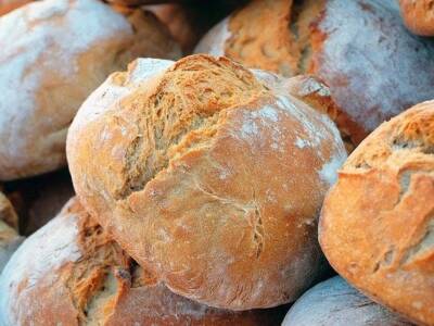 Хлеб в холодильнике и зелень в пакетах: 5 ошибок хранения продуктов, которые мы совершаем. Афиша Днепра
