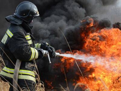 Огонь охватил несколько гектаров: на Днепропетровщине вспыхнули поля (Видео). Афиша Днепра