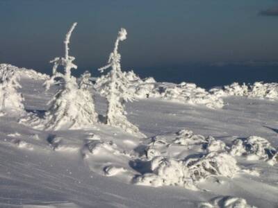 "Кружевные изваяния": в Украину пришли морозы со снегом, чарующие фото. Афиша Днепра